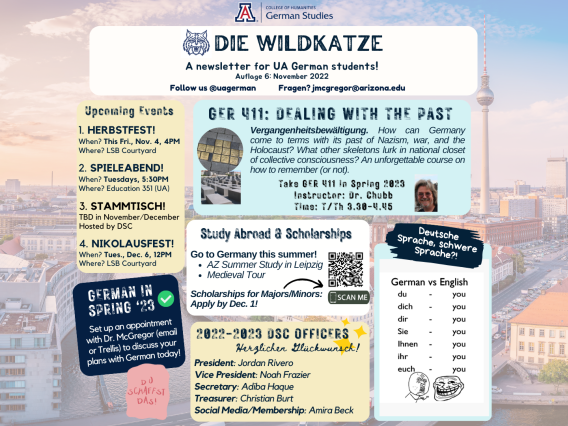 Wildkatze November 2022